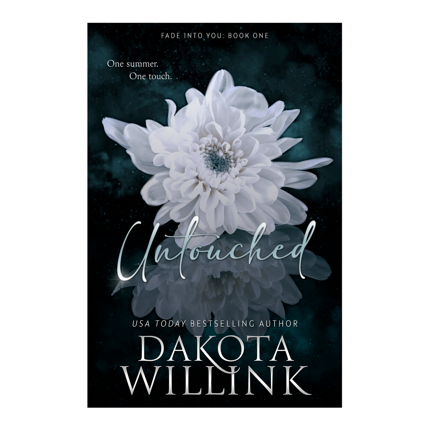 Dakota Willink Collection
